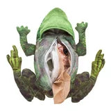 Folkmanis Life Cycle of a Frog Puppet