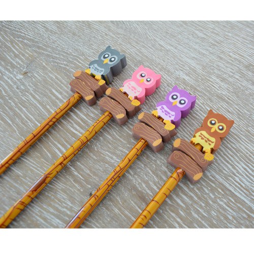 Pocket Money Collection - Hoot Owl Pencil & Eraser