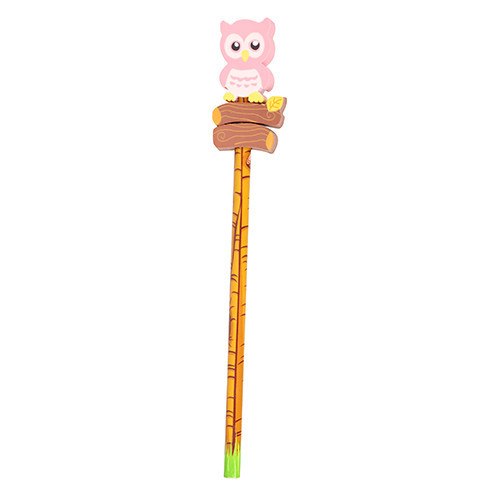 Pocket Money Collection - Hoot Owl Pencil & Eraser