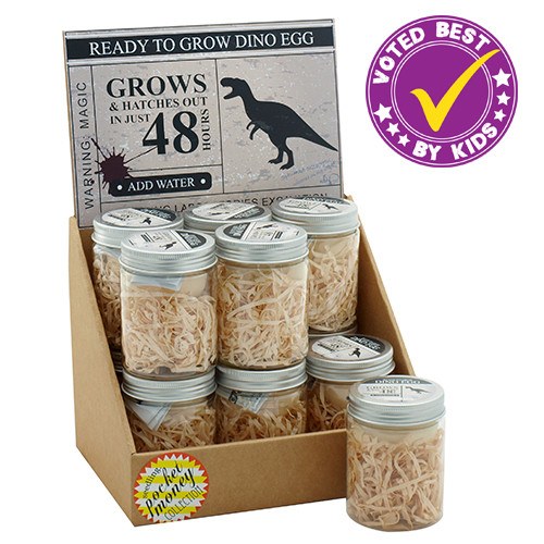 Pocket Money Collection - Ready To Grow Dino Egg