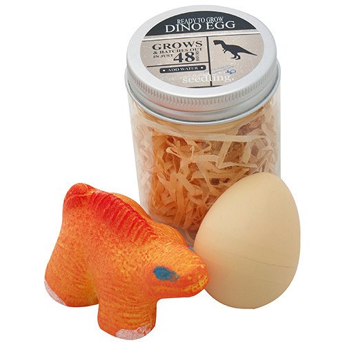 Pocket Money Collection - Ready To Grow Dino Egg