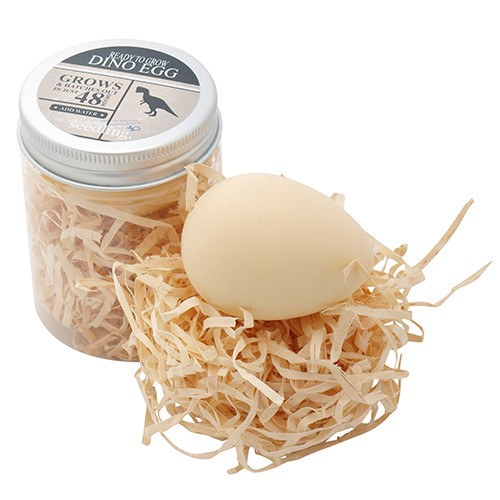Pocket Money Collection - Ready To Grow Dino Egg