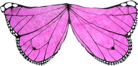 Pink Monarch Butterfly Wings