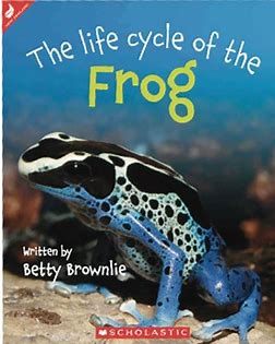 The lif cycle of the Frog