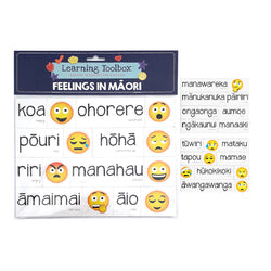 Feelings in Maori - Magnetic