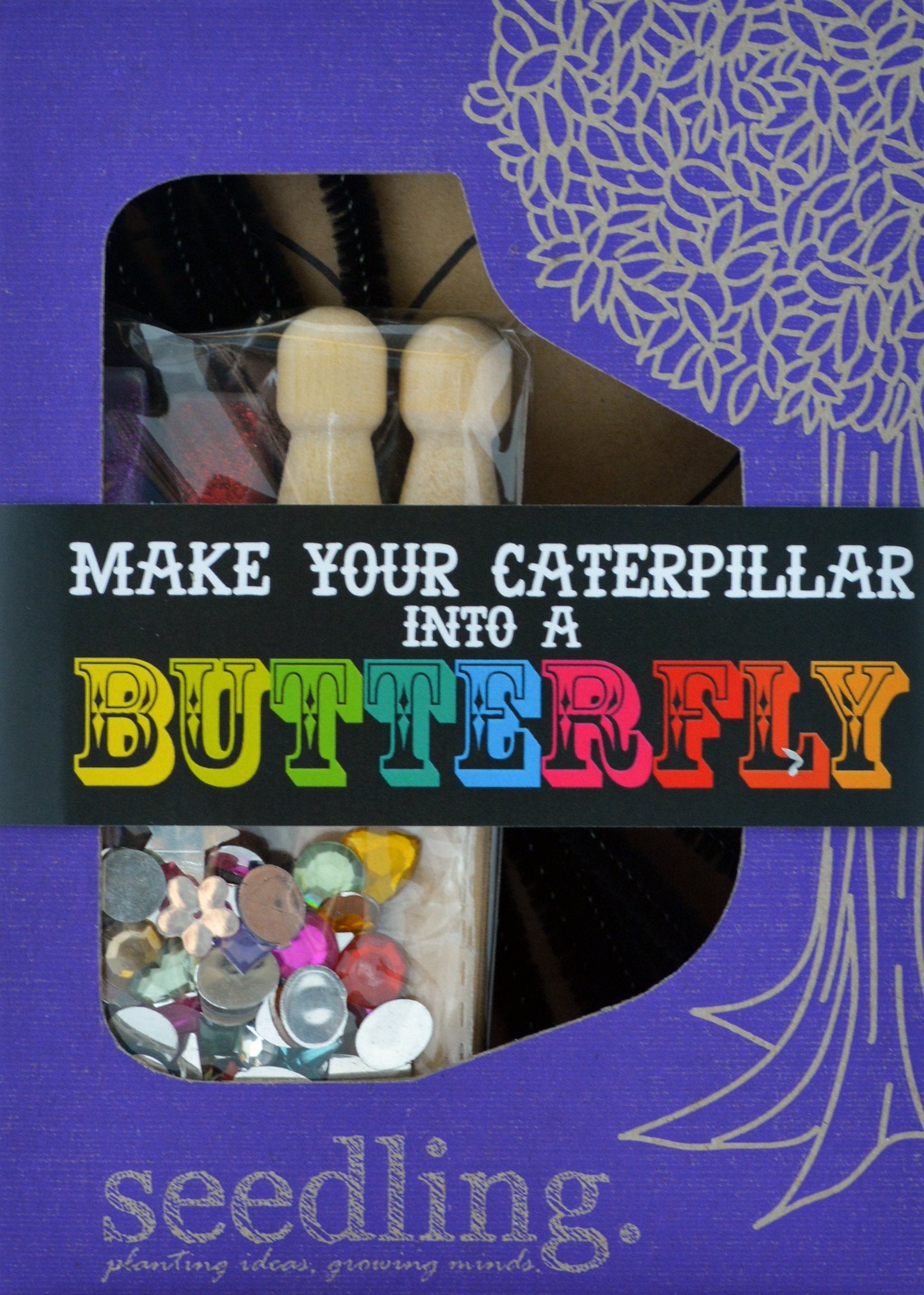 Make Your Caterpillar into a Butterfly!