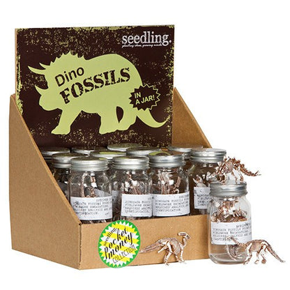 Pocket Money Collection - Dino Fossils In A Jar!