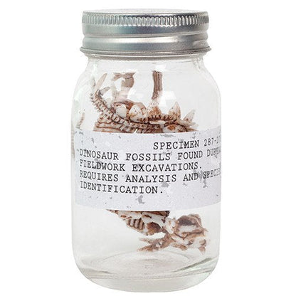 Pocket Money Collection - Dino Fossils In A Jar!