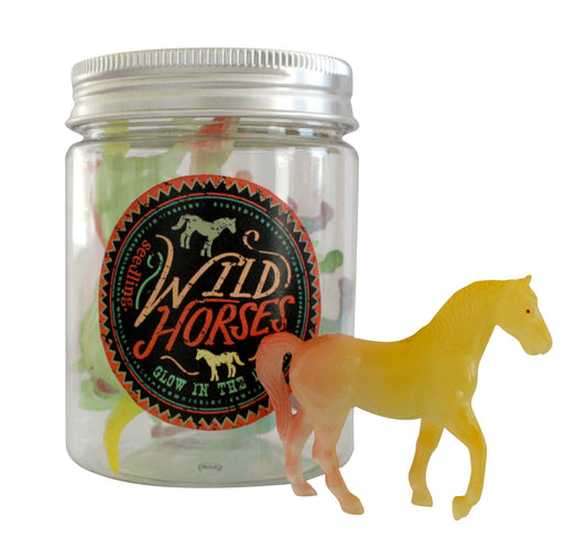 Pocket Money Collection - Glow-in-the-Dark Wild Horses